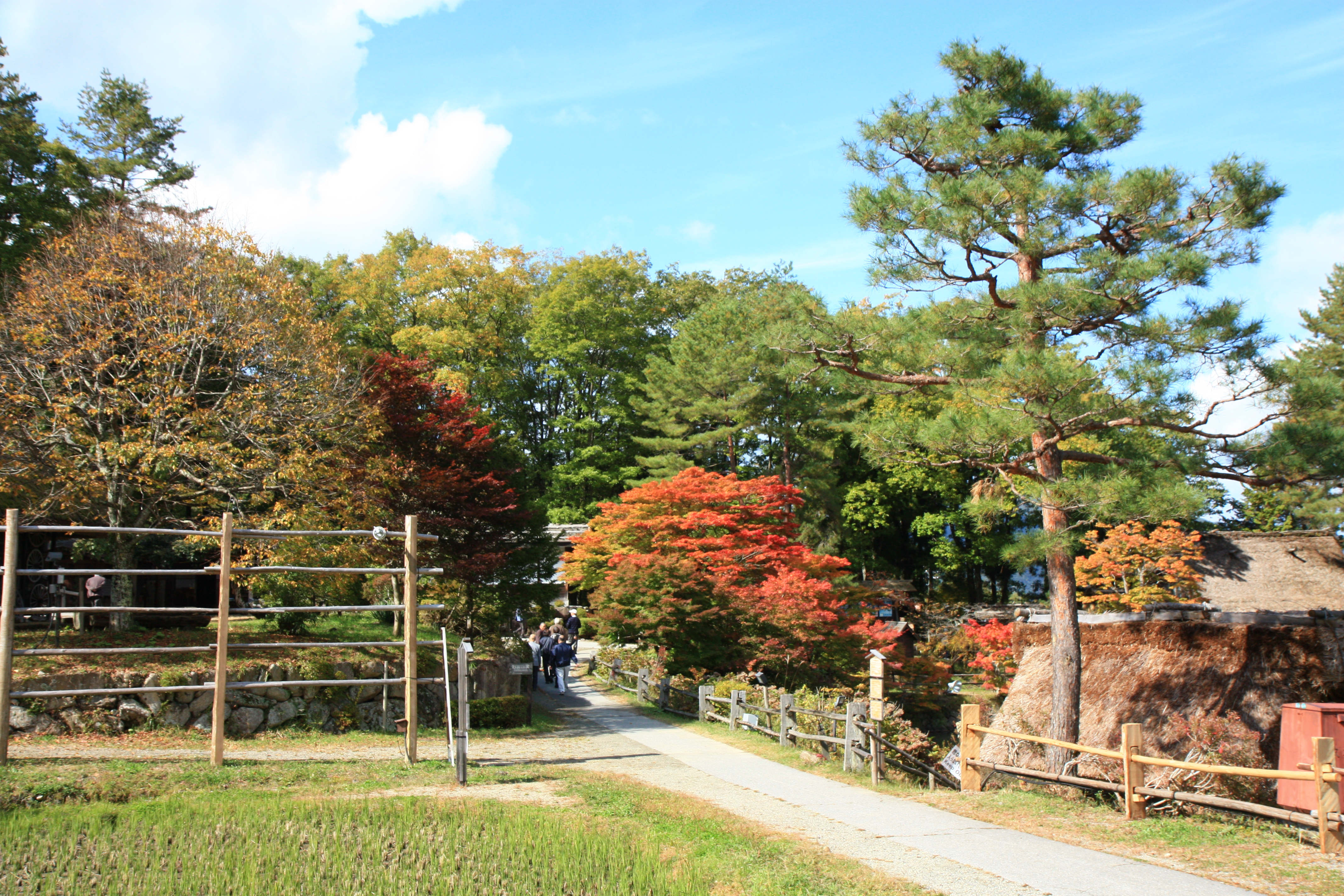 Takayama